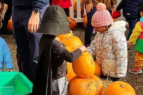 Free pop up pumpkin patch in Richmond