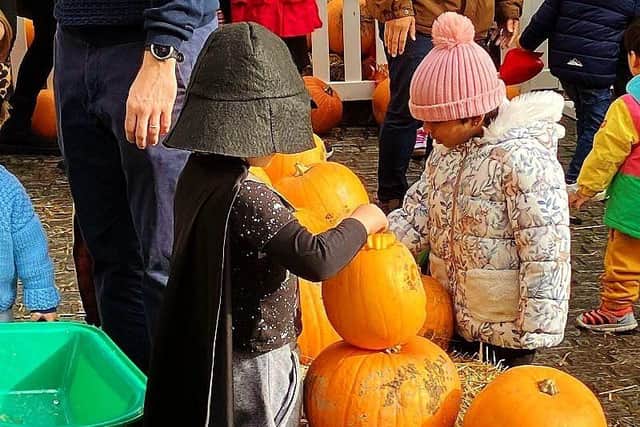 Free pop up pumpkin patch in Richmond