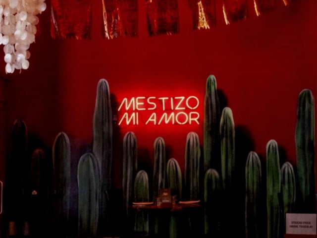 Mestizo Camden