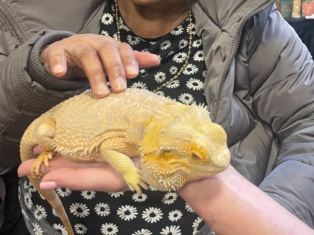 Shushila Patel, a resident at Care UK’s Smyth Lodge, enjoyed an afternoon of animal therapy