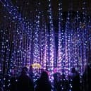 Kew Gardens Christmas Author: Alex Liivet from Chester, United Kingdom