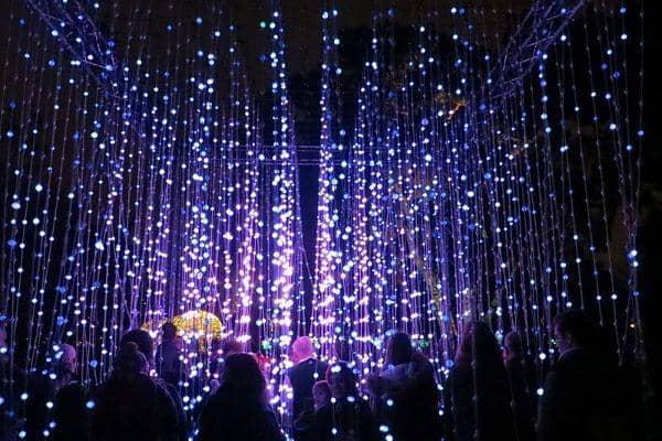 Kew Gardens Christmas Author: Alex Liivet from Chester, United Kingdom