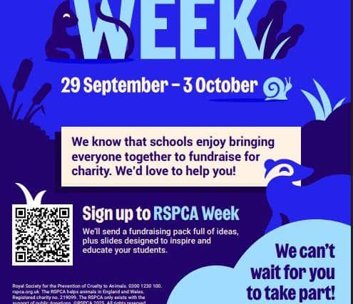Still time for teachers and educators to sign up to RSPCA Week and help ...
