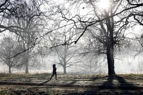 A jogger runs to exercise in a frost-covered Hyde Park in London. 