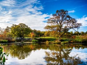 RHS Harlow Carr