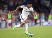 LEEDS, ENGLAND - AUGUST 24: Cody Drameh of Leeds United (Photo by George Wood/Getty Images)