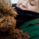 This week, we follow the story of the show’s 100th dog, a terrified Cockapoo. Will she find the courage to open her heart?