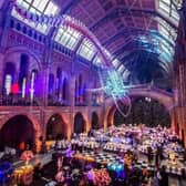 Wedding at the Natural History Museum