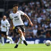 Aleksandar Mitrovic 