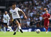 Aleksandar Mitrovic 