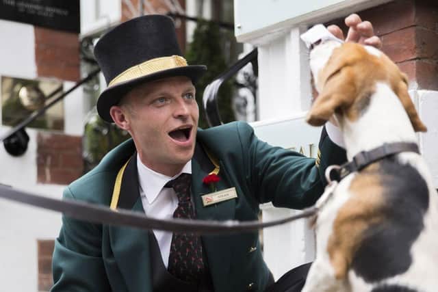 Dog Friendly hotels - Leap Local.