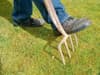 How to revive your lawn after hot weather spell