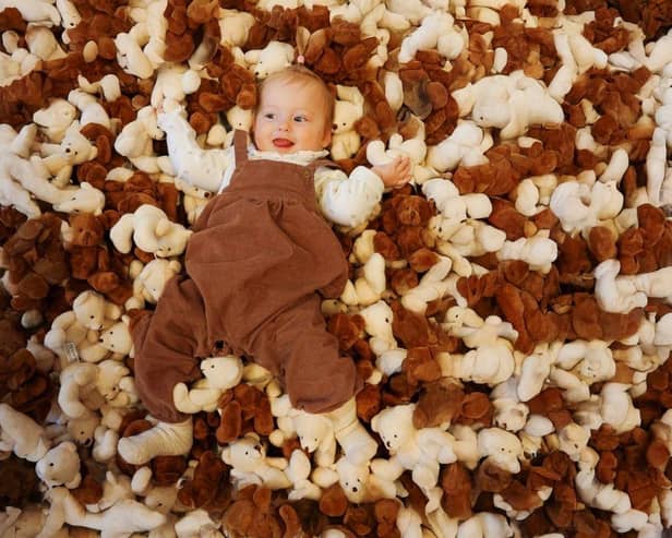Richmond's Free Easter Teddy Bear Hunt