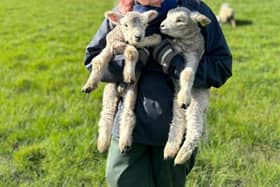 Amy Joyce, on a farm placement as part of her Veterinary Medicine Degree at the Royal Veterinary College