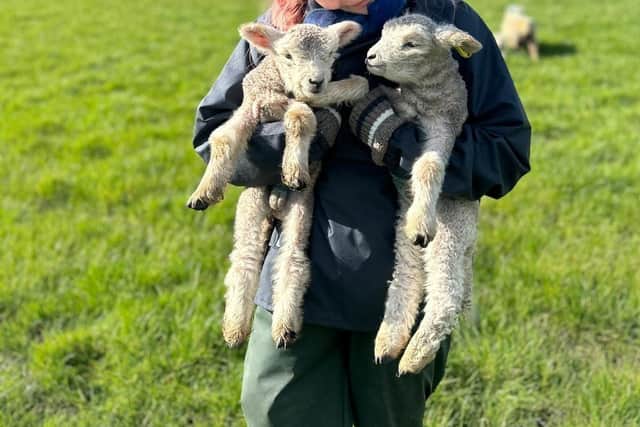 Amy Joyce, on a farm placement as part of her Veterinary Medicine Degree at the Royal Veterinary College