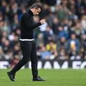 Fulham boss Marco Silva.  