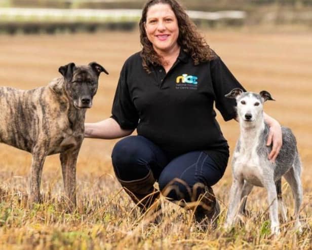 Jo Middleton of Canine Principles - Animal News Agency