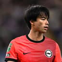 The Japan international has signed a new contract with Brighton. 