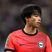 The Japan international has signed a new contract with Brighton. 