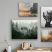 Get tips and ideas to make your pictures stand out