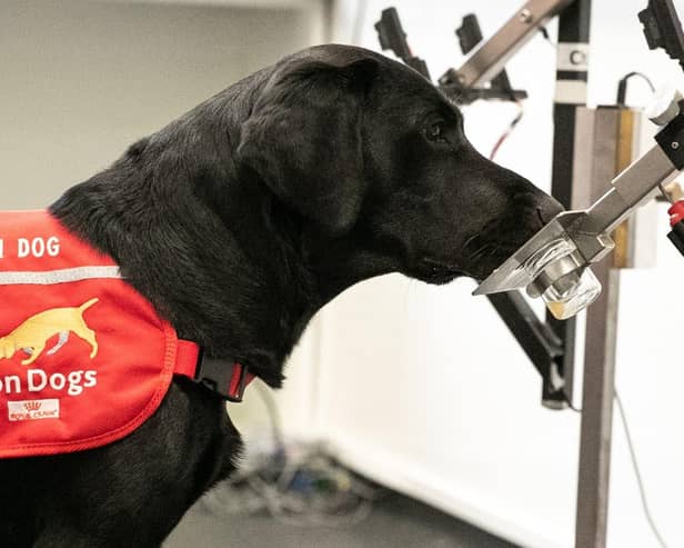Rosie at work in the charity's training room