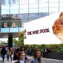 Peanut Butter gurus Pip and Nut showcase their striking new billboard campaign