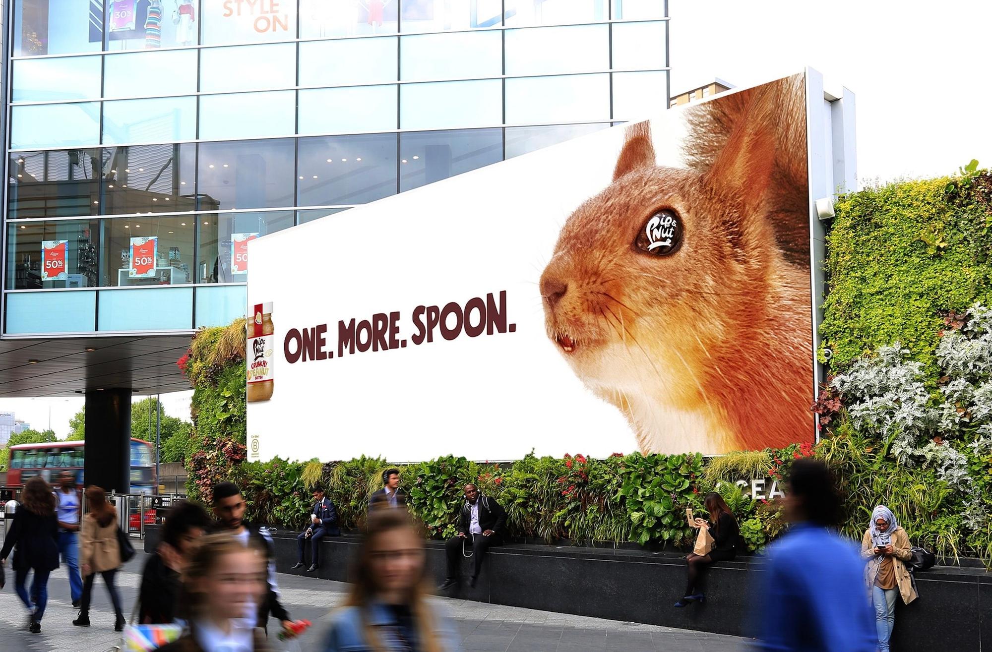 Crowds delight at rare sighting of red squirrel on National Peanut
