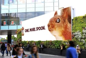 Peanut Butter gurus Pip and Nut showcase their striking new billboard campaign