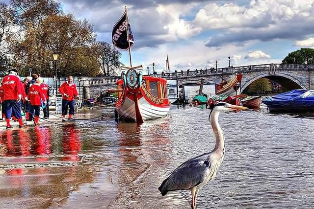 Royal Jubilant barge with Richmond Bridge in the background.
