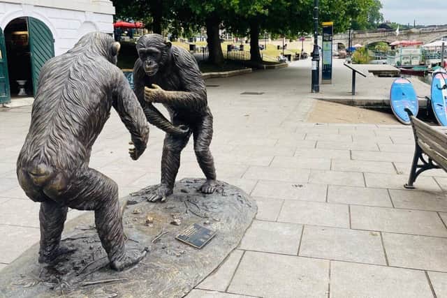 Chimp sculpture by Richmond Bridge.