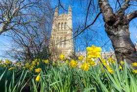 House of Lords from Victoria Tower Gardens