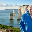 Ocean With David Attenborough
