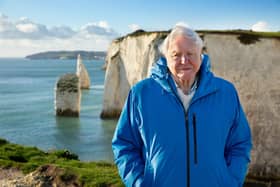 Ocean With David Attenborough