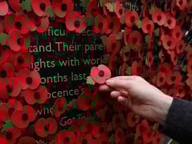 A person holds a poppy as they look at a wall made of 10,000 remembrance poppies following the RBL's Poppy Appeal 2022 (photo: Getty Images)