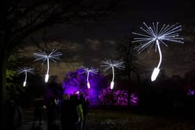 Christmas at Kew Gardens has been cancelled due to severe weather caused by Storm Darragh