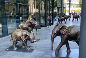 Sheldrick Wildlife Trust Bronze Elephant Statues.