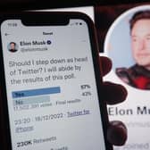 Elon Musk has confirmed he will step down as chief executive of Twitter, as soon as he finds someone “foolish enough to take the job”.