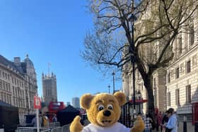 Winston Bear at London Event