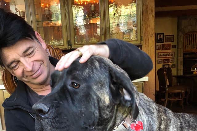 Gary Numan, who was born in Hammersmith, has joined the fight to stop the slaughter of Morocco's dogs - Animal News Agency
