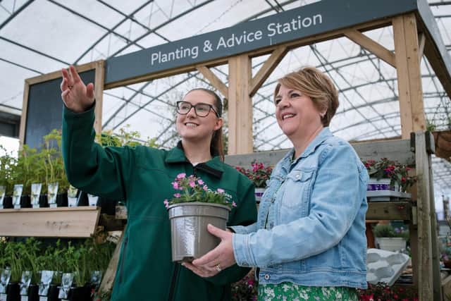 Dobbies Roses Summer of roses: free gardening workshop at Dobbies’ Woodcote Green store