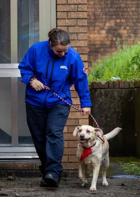 ARO at RSPCA