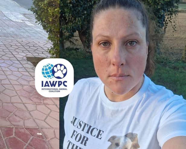 The walk is to help provide emergency care for dogs left for dead in the slaughter - Animal News Agency