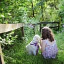Does your child know how to be safe around dogs? Animal News Agency