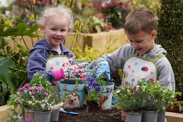 Sister and brother duo, Alice (4) and Archie (6,) at Dobbies Garden Centres, taking part in the experience