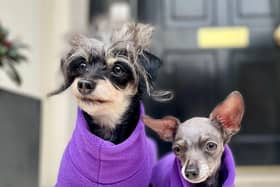 Betty and Bean