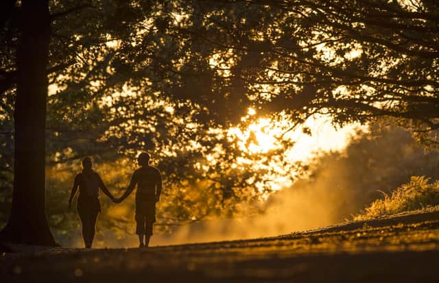 LONDON, ENGLAND - SEPTEMBER 12: A couple walk through Richmond Park at sunset on September 12, 2014 in London, England. Much of the UK continues to enjoy mild Autumn weather with sunshine set to last for the next few days. (Photo by Justin Setterfield/Getty Images)
