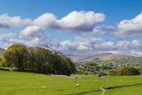 Could your favourite path be crowned the winner?