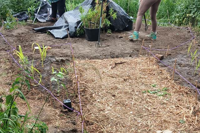 Bellingham care circle creates calming space thanks to community grant