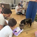 A miniature pig enjoying an event at Dulwich Gallery - Animal News Agency