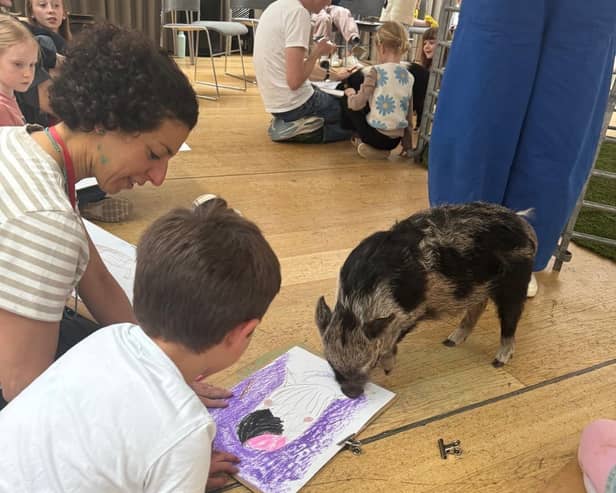 A miniature pig enjoying an event at Dulwich Gallery - Animal News Agency